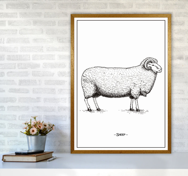 Sheep Art Print by Jason Stanley A1 Print Only