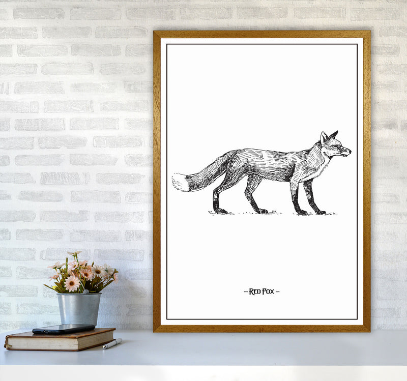 Red Fox Art Print by Jason Stanley A1 Print Only