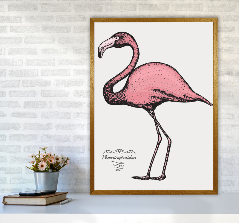 Flamingo Art Print by Jason Stanley A1 Print Only