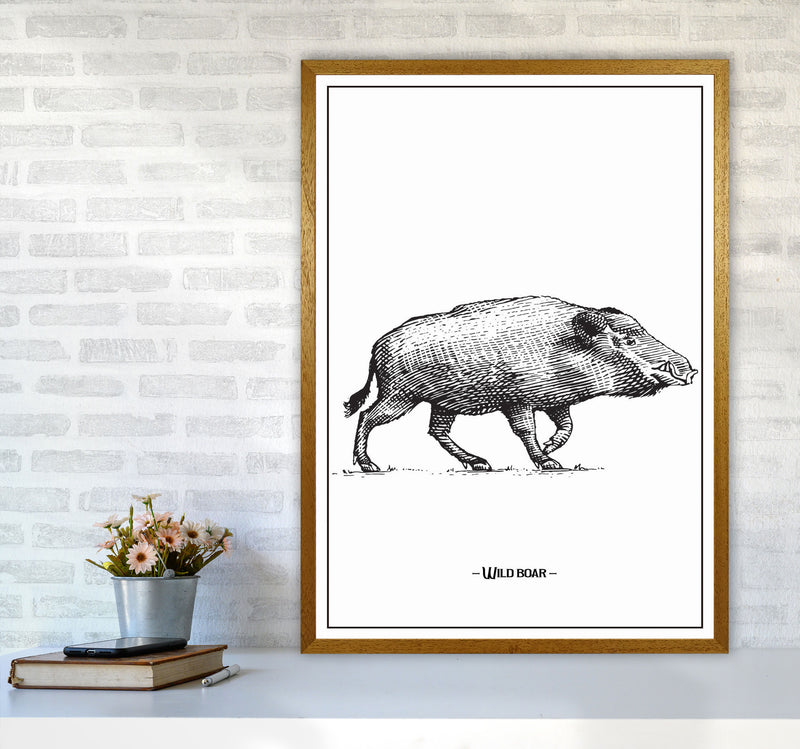 Wild Boar Art Print by Jason Stanley A1 Print Only