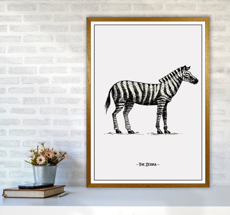 The Zebra Art Print by Jason Stanley A1 Print Only