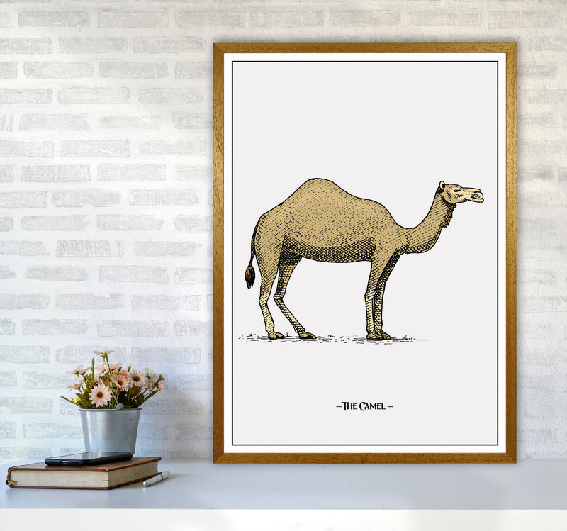 The Camel Art Print by Jason Stanley A1 Print Only