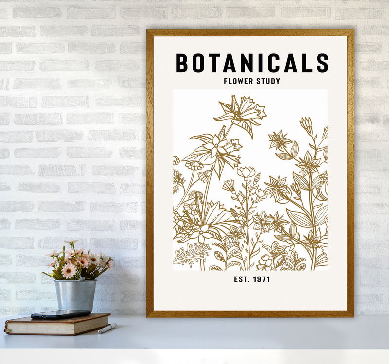 Botanicals Flower Study II Art Print by Jason Stanley A1 Print Only
