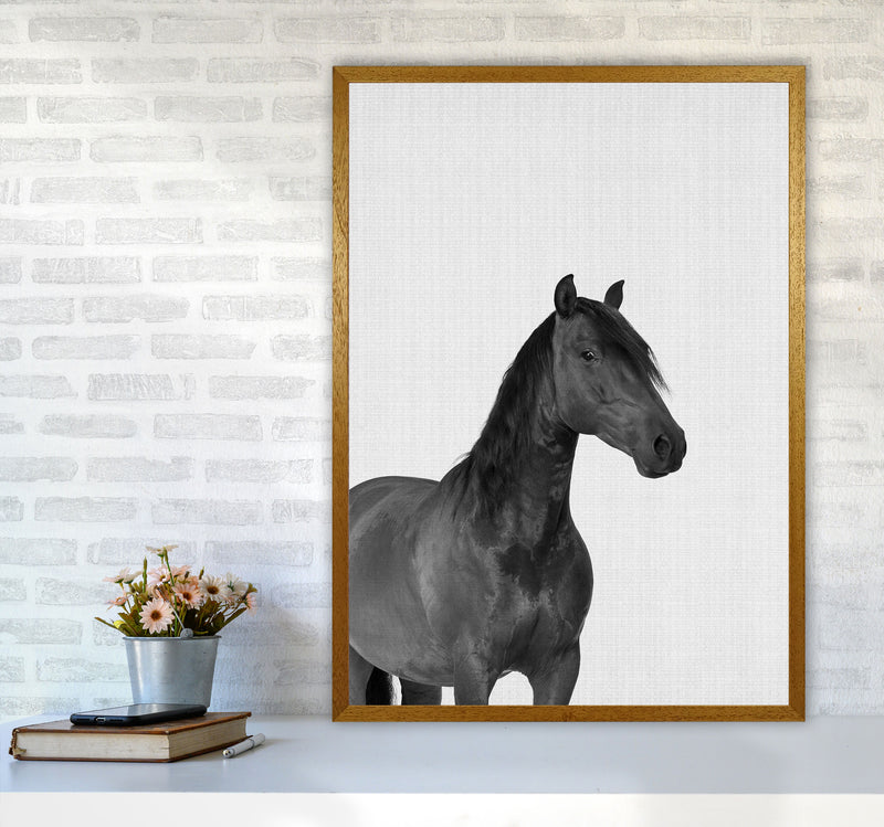 The Dark Horse Rides At Night Art Print by Jason Stanley A1 Print Only