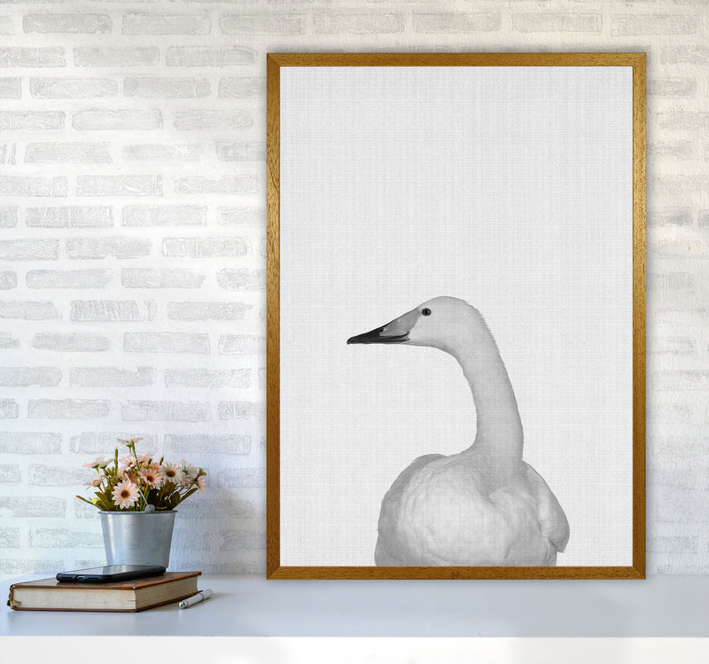 The Case Of The Lost Goose Art Print by Jason Stanley A1 Print Only