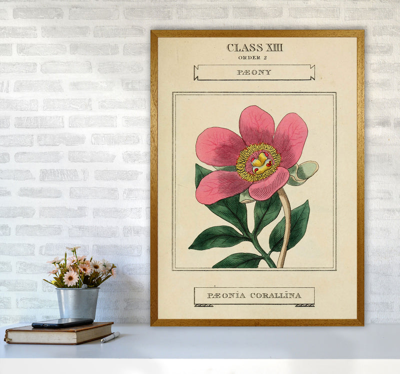 Vintage Flower Series 6 Art Print by Jason Stanley A1 Print Only