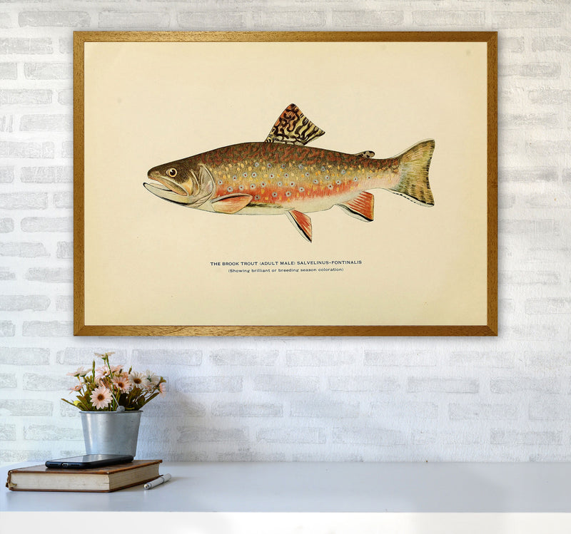 Brook Trout Illustration Art Print by Jason Stanley A1 Print Only