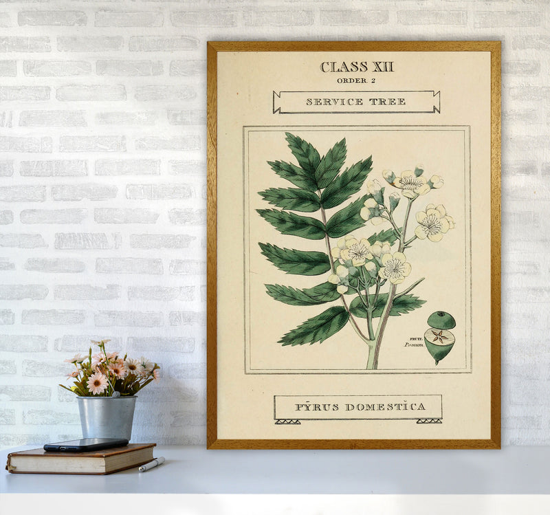 Vintage Flower Series 5 Art Print by Jason Stanley A1 Print Only