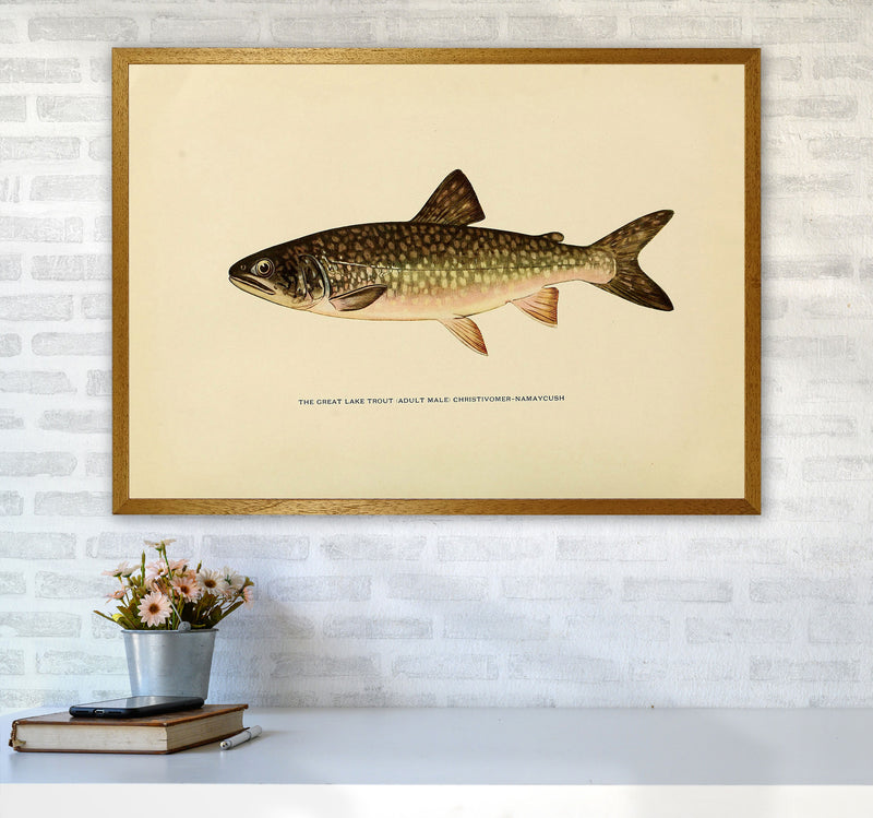 Lake Trout Illustration Art Print by Jason Stanley A1 Print Only