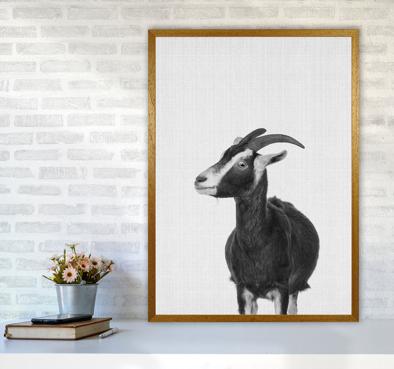 This Goat Takes The Cake Art Print by Jason Stanley A1 Print Only