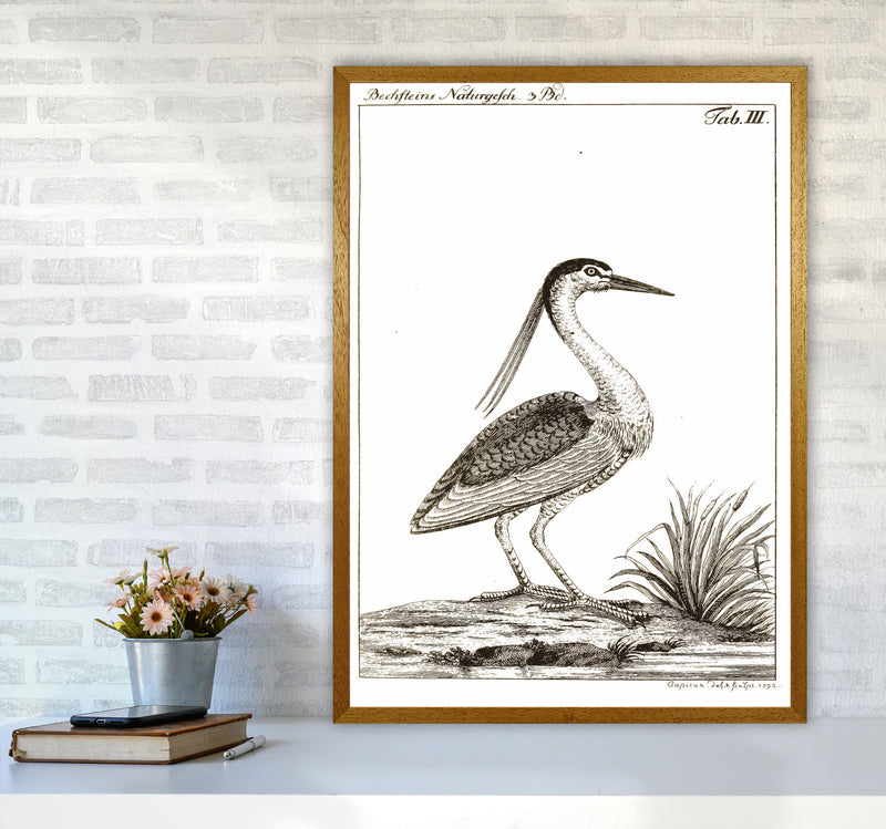 Vintage Hunting Bird Art Print by Jason Stanley A1 Print Only