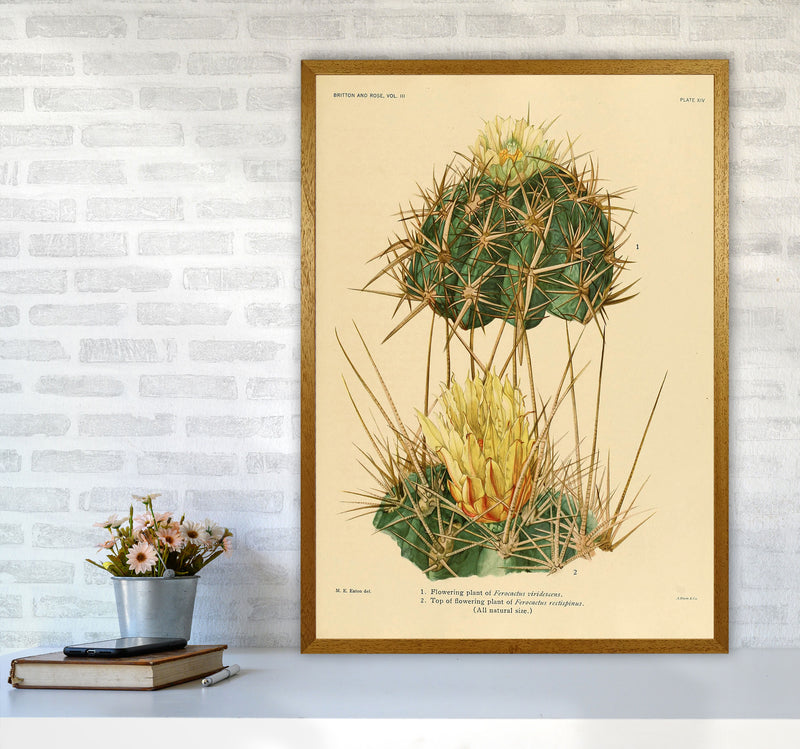 Cactus Series 10 Art Print by Jason Stanley A1 Print Only