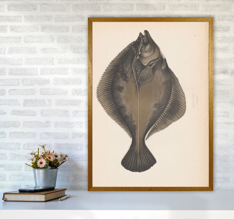 Vintage Flounder Art Print by Jason Stanley A1 Print Only
