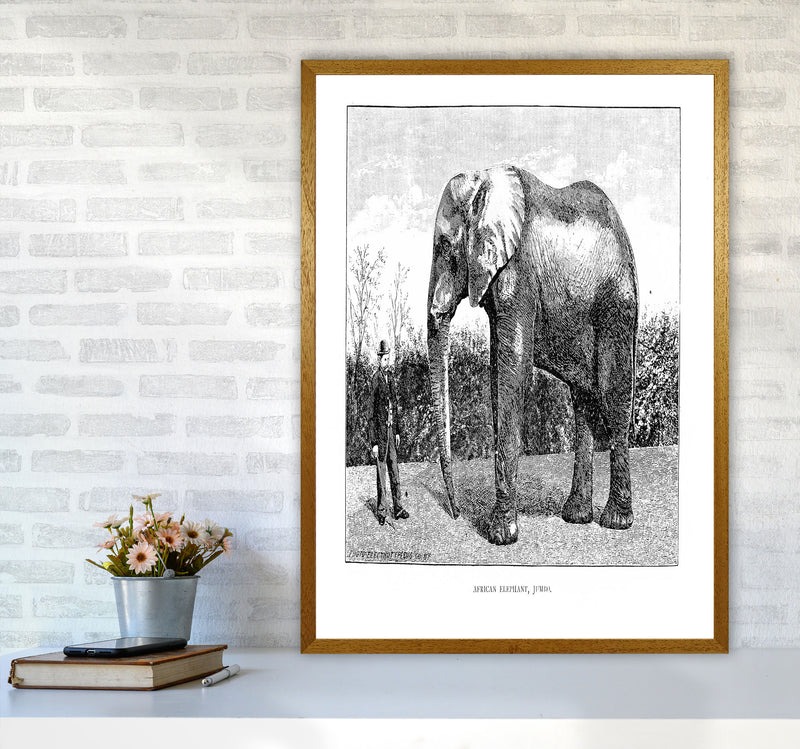 African Elephant Art Print by Jason Stanley A1 Print Only