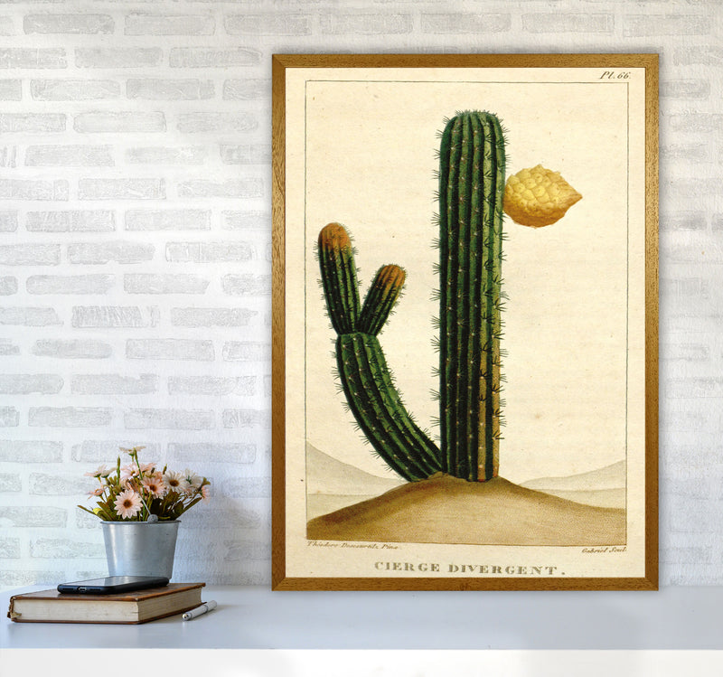 Vintage Cactus II Art Print by Jason Stanley A1 Print Only