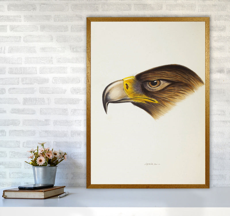 Vintage Eagle Face Art Print by Jason Stanley A1 Print Only