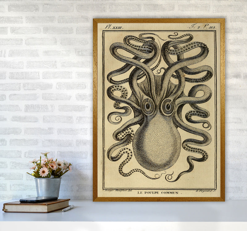 Vintage Octopus 2 Art Print by Jason Stanley A1 Print Only