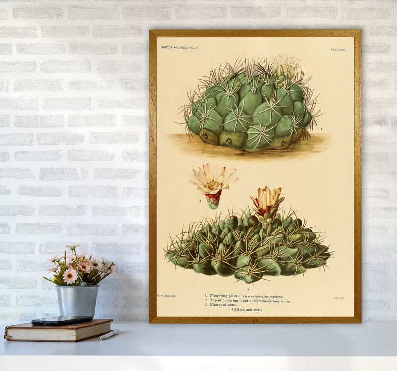 Cactus Series 12 Art Print by Jason Stanley A1 Print Only