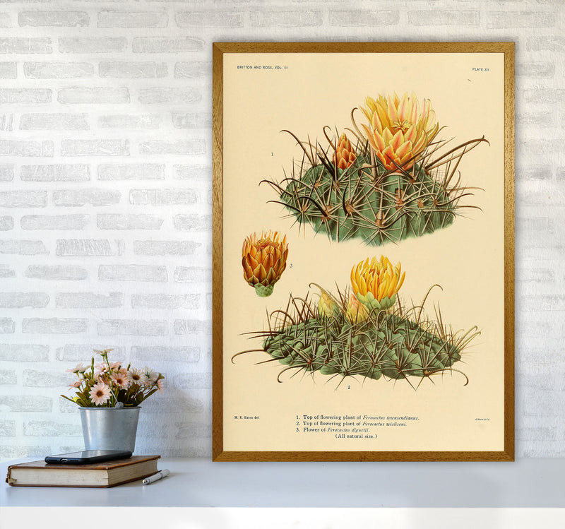 Cactus Series 9 Art Print by Jason Stanley A1 Print Only