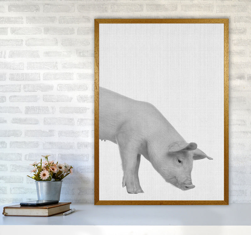 The Cleanest Pig Art Print by Jason Stanley A1 Print Only