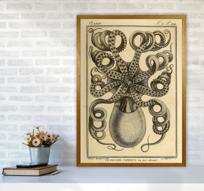 Vintage Octopus Art Print by Jason Stanley A1 Print Only