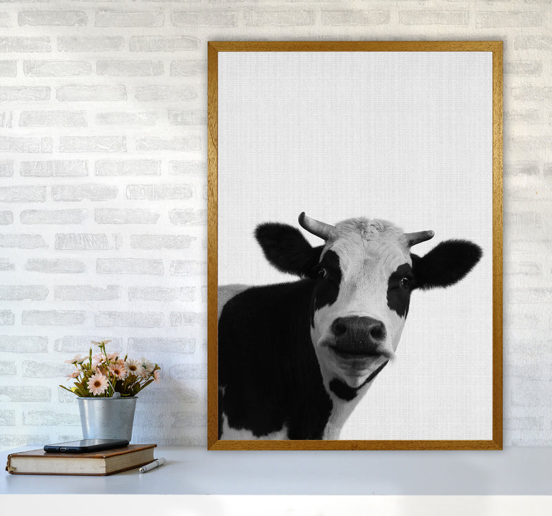 Holy Cow Art Print by Jason Stanley A1 Print Only