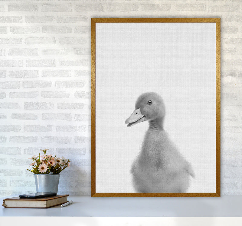 Curious Duck Art Print by Jason Stanley A1 Print Only