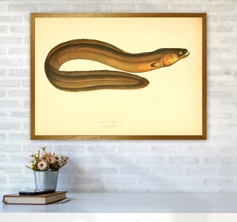 Broad Nosed Eel Art Print by Jason Stanley A1 Print Only