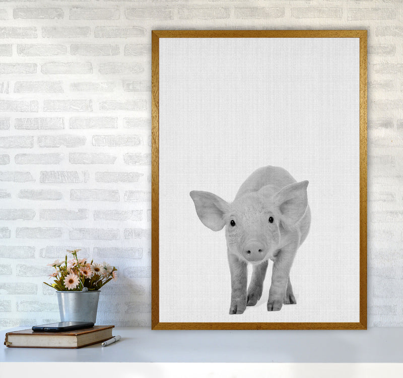 The Cutest Pig Art Print by Jason Stanley A1 Print Only