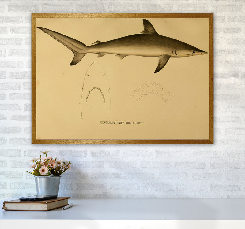 Shark Series 4 Art Print by Jason Stanley A1 Print Only