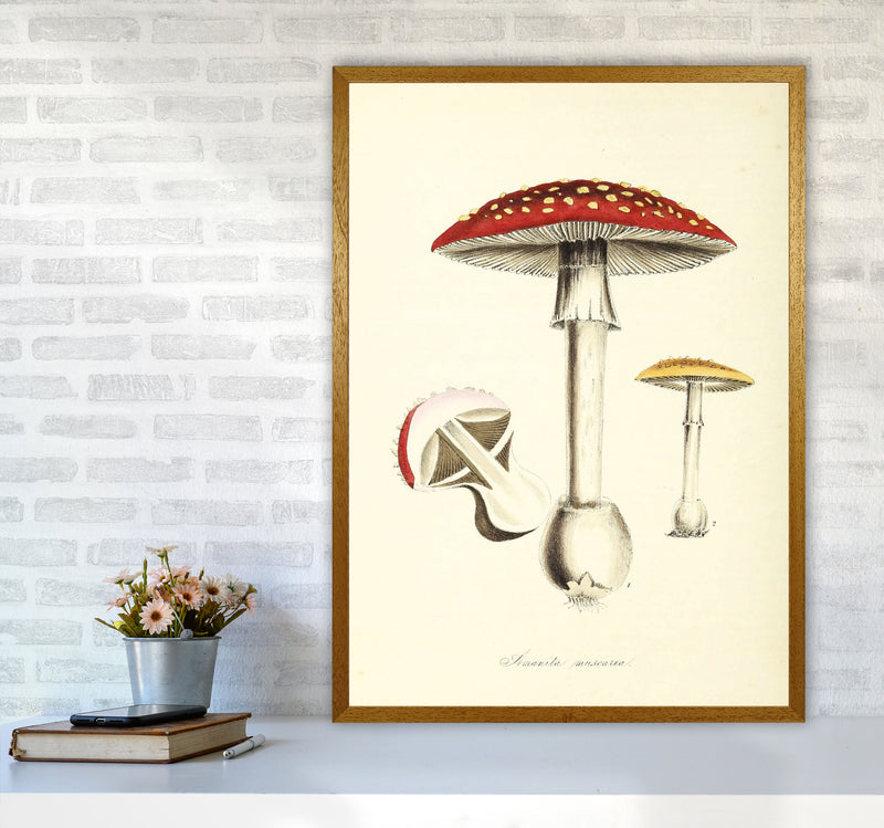 Magic Mushrooms Art Print by Jason Stanley A1 Print Only
