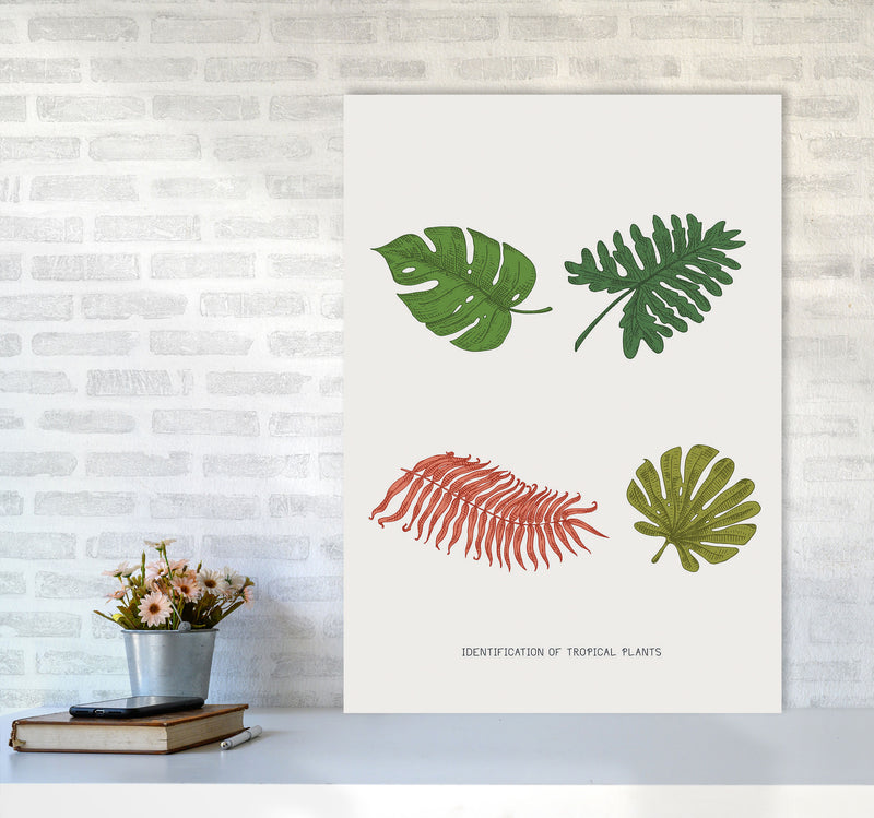 Identification Of Tropical Plants Art Print by Jason Stanley A1 Black Frame