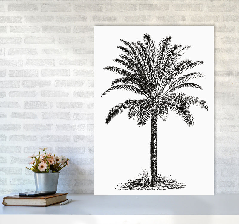 Vintage Palm Tree Art Print by Jason Stanley A1 Black Frame