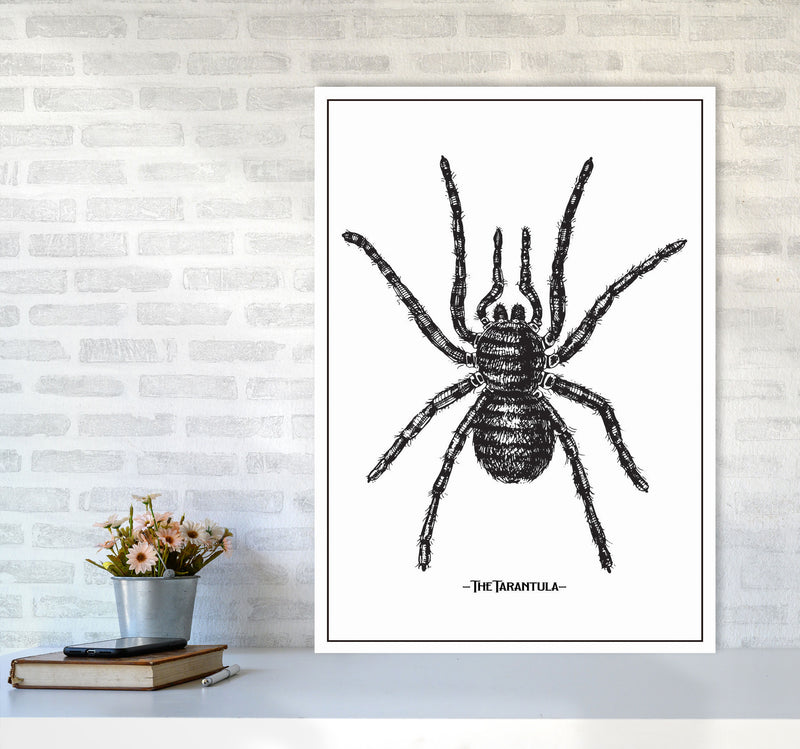 The Tarantula Art Print by Jason Stanley A1 Black Frame