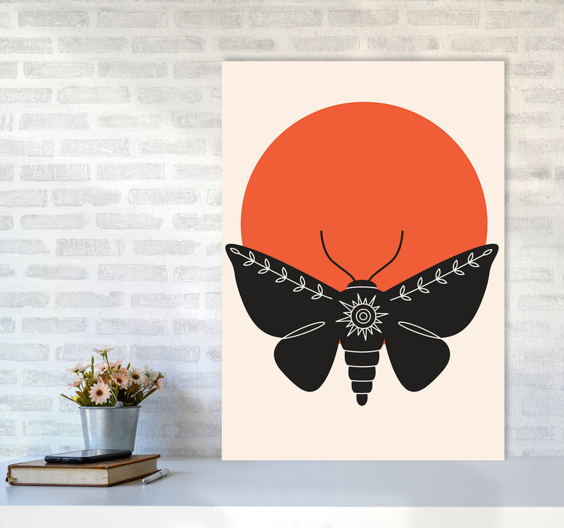 Sunshine Moth Art Print by Jason Stanley A1 Black Frame