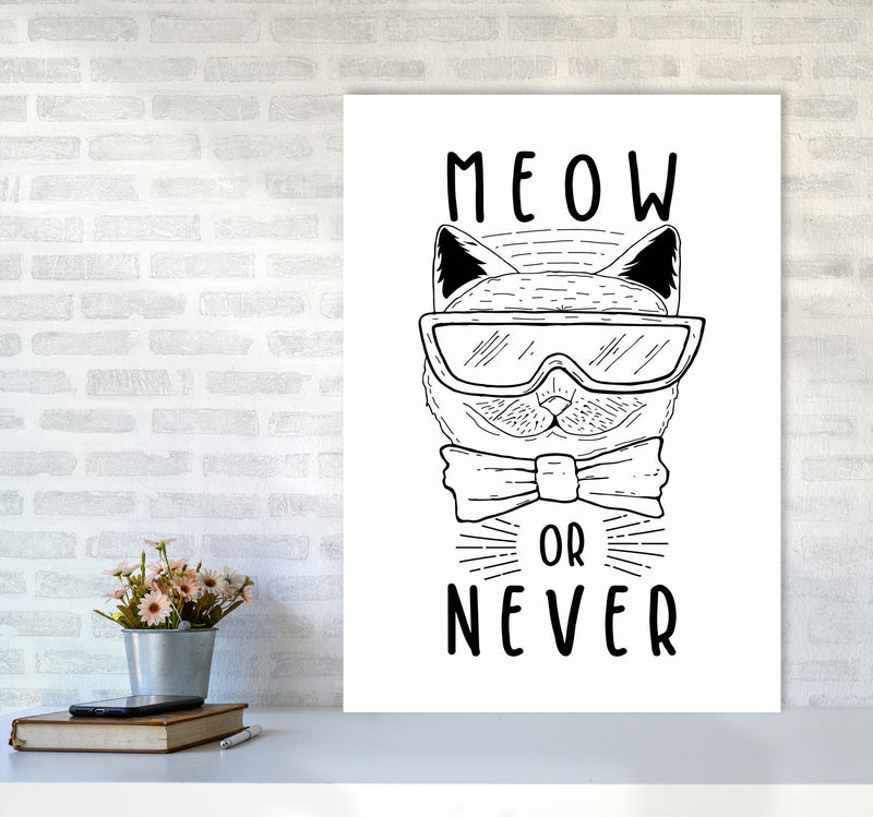 Meow Or Never Art Print by Jason Stanley A1 Black Frame