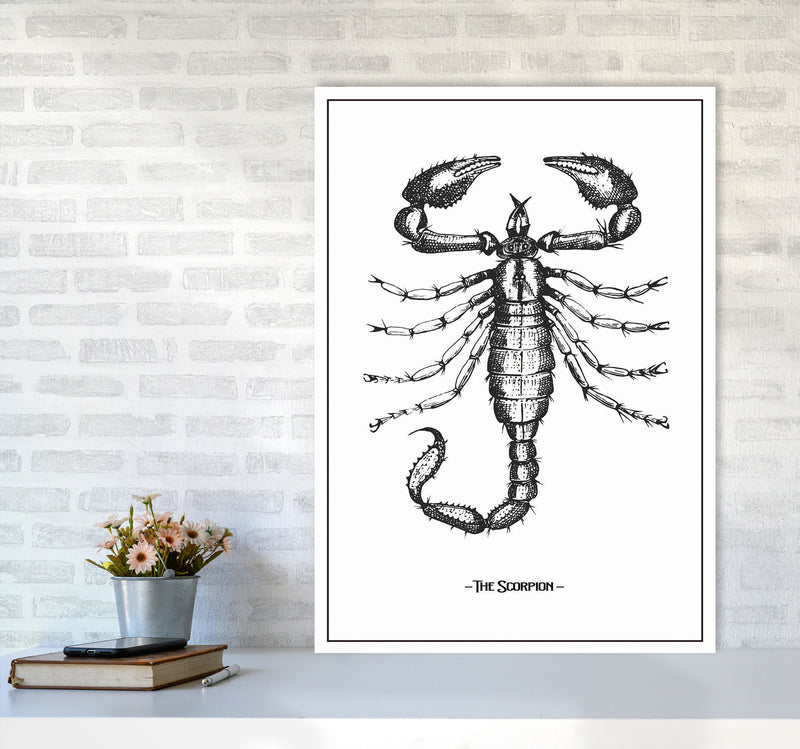 The Scorpion Art Print by Jason Stanley A1 Black Frame