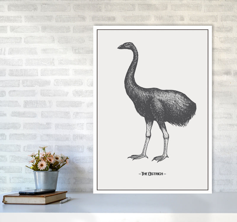 The Ostrich Art Print by Jason Stanley A1 Black Frame