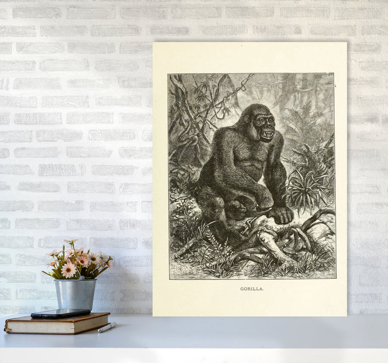 The Other King Of The Jungle Art Print by Jason Stanley A1 Black Frame