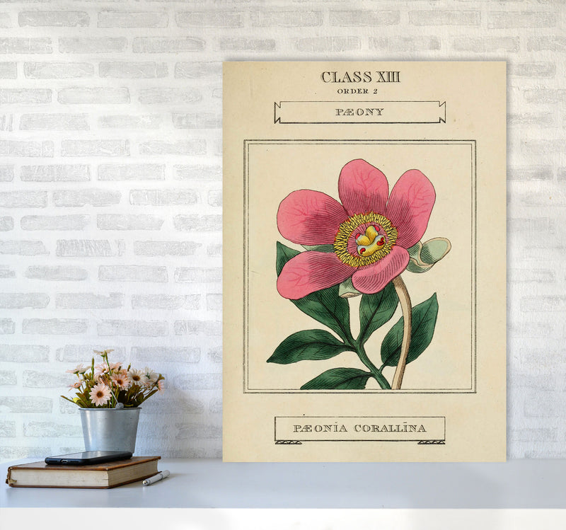 Vintage Flower Series 6 Art Print by Jason Stanley A1 Black Frame