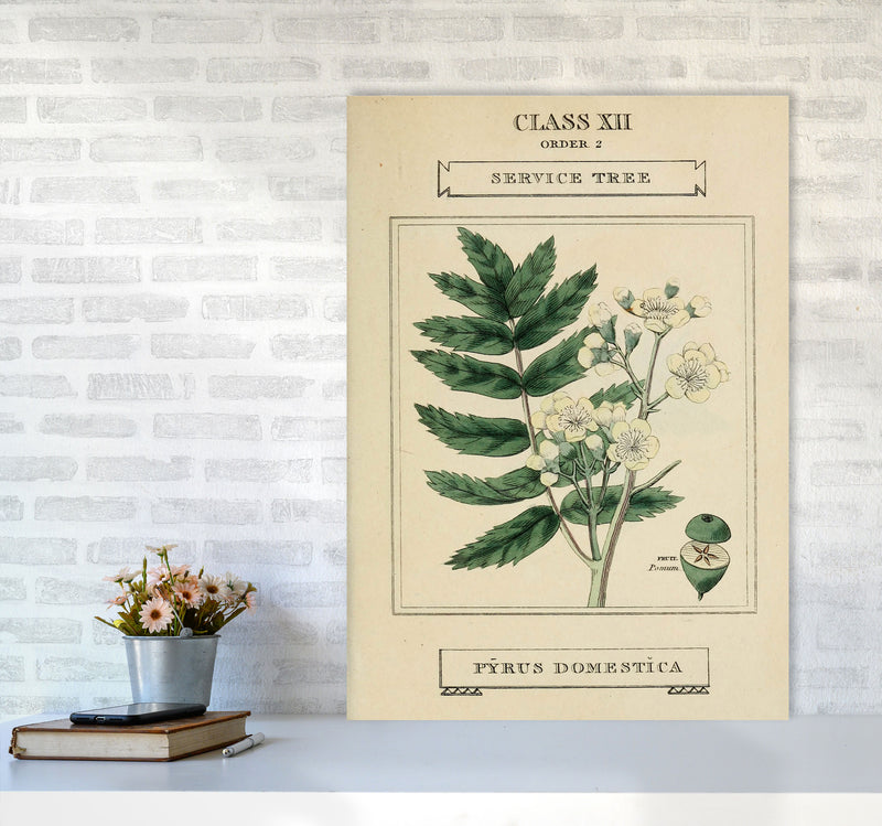 Vintage Flower Series 5 Art Print by Jason Stanley A1 Black Frame