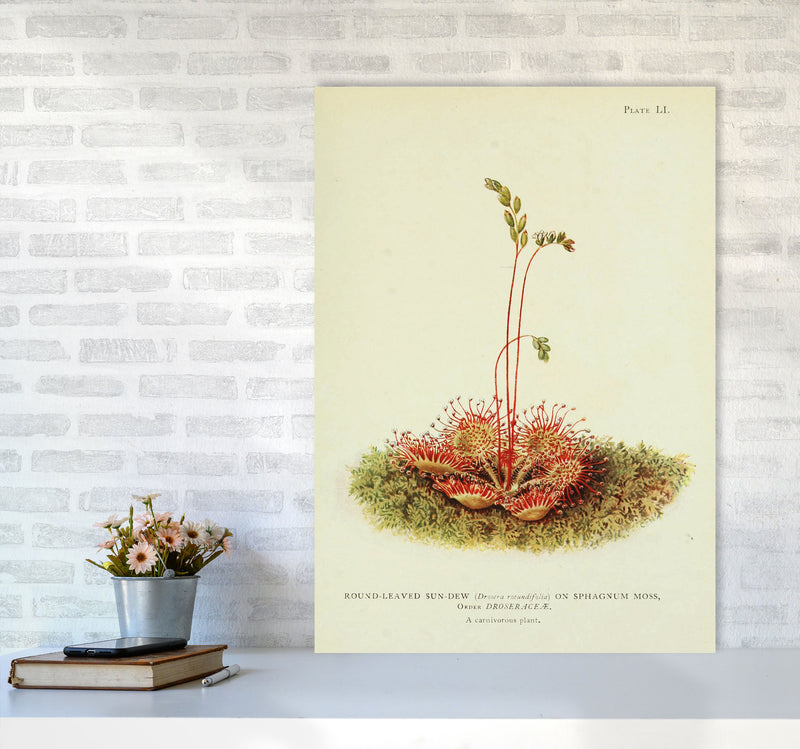 A Carnivorous Plant Art Print by Jason Stanley A1 Black Frame