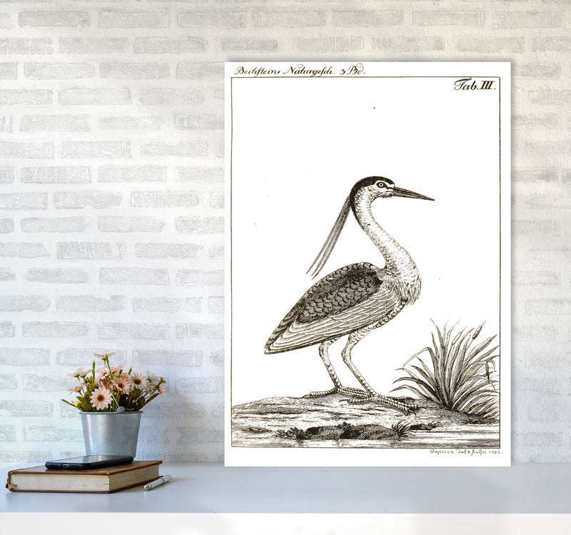 Vintage Hunting Bird Art Print by Jason Stanley A1 Black Frame