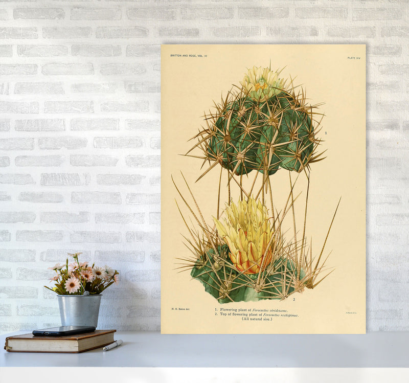 Cactus Series 10 Art Print by Jason Stanley A1 Black Frame
