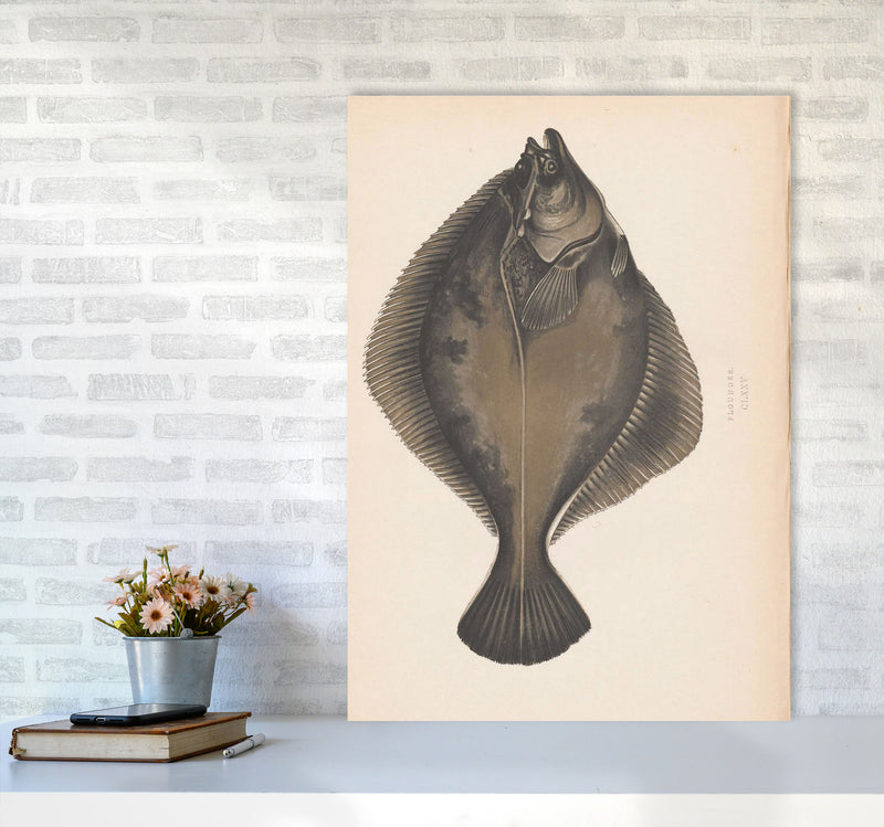 Vintage Flounder Art Print by Jason Stanley A1 Black Frame