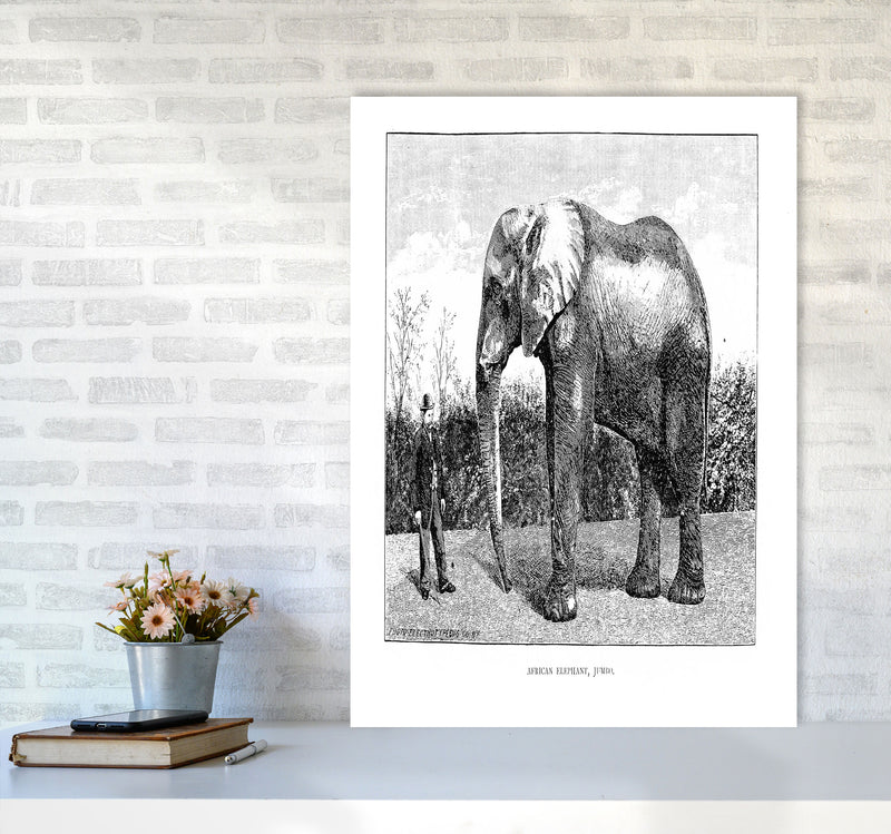 African Elephant Art Print by Jason Stanley A1 Black Frame