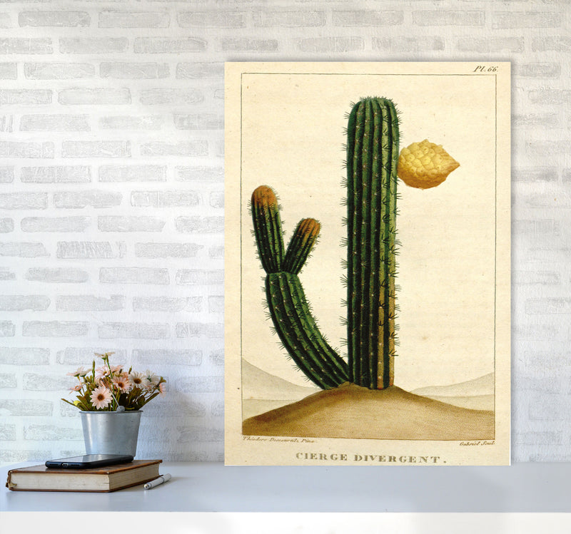 Vintage Cactus II Art Print by Jason Stanley A1 Black Frame