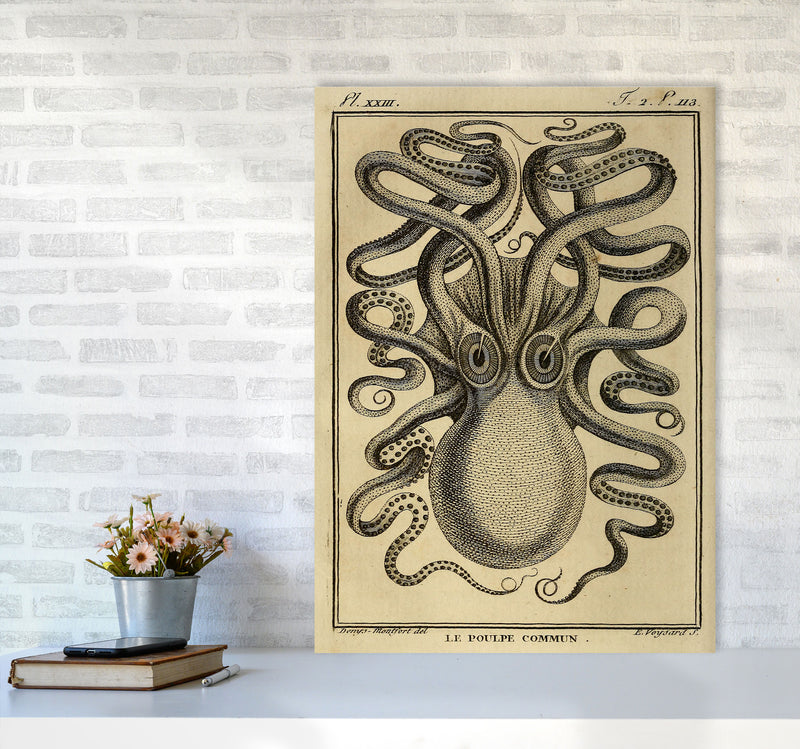 Vintage Octopus 2 Art Print by Jason Stanley A1 Black Frame