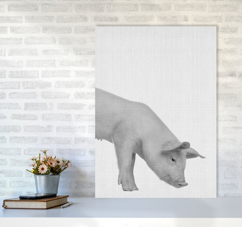 The Cleanest Pig Art Print by Jason Stanley A1 Black Frame