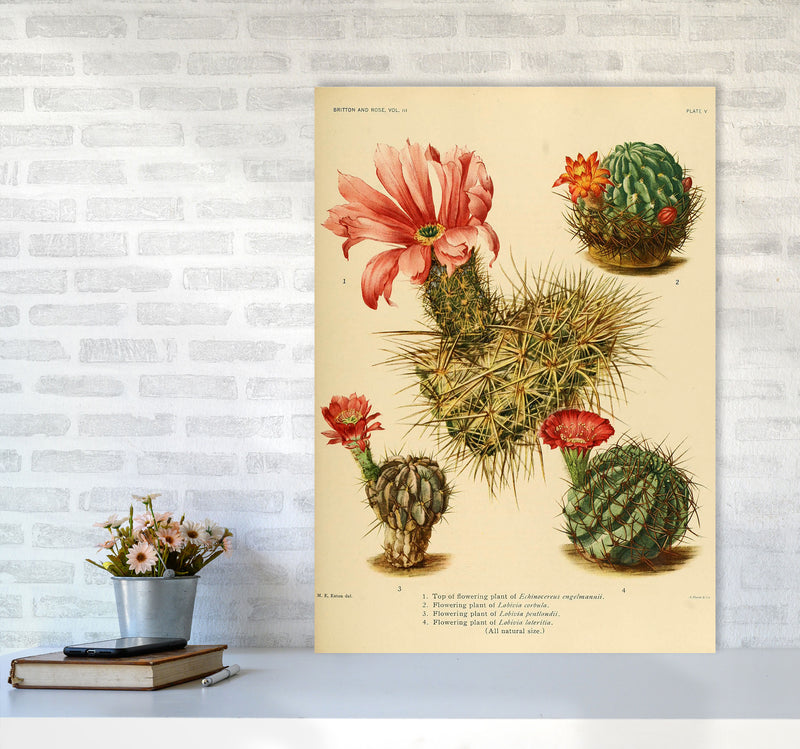 Cactus Series 4 Art Print by Jason Stanley A1 Black Frame